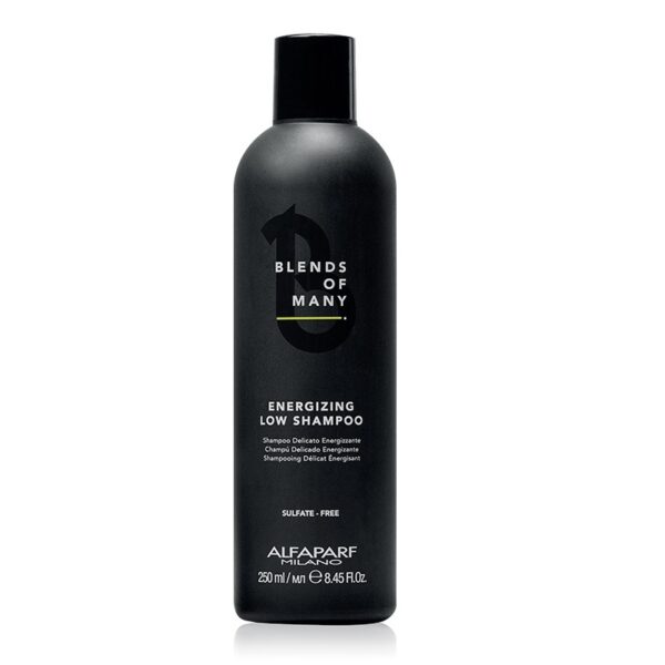 Alfaparf Blends Of Many energetyzujący szampon do włosów dla mężczyzn 250ml (P1)