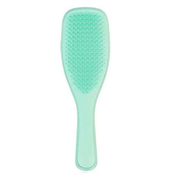Tangle Teezer The Wet Detangling Fine & Fragile Hairbrush szczotka do włosów Mint (P1)
