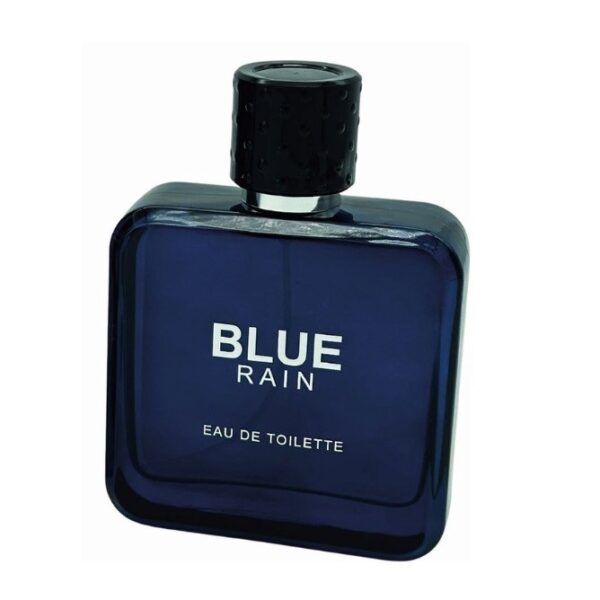 Georges Mezotti Blue Rain Pour Homme woda toaletowa spray 125ml (P1)