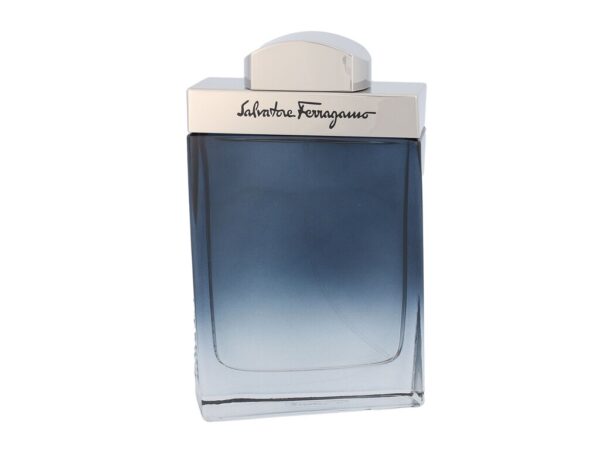 Salvatore Ferragamo Subtil Pour Homme  100 ml M